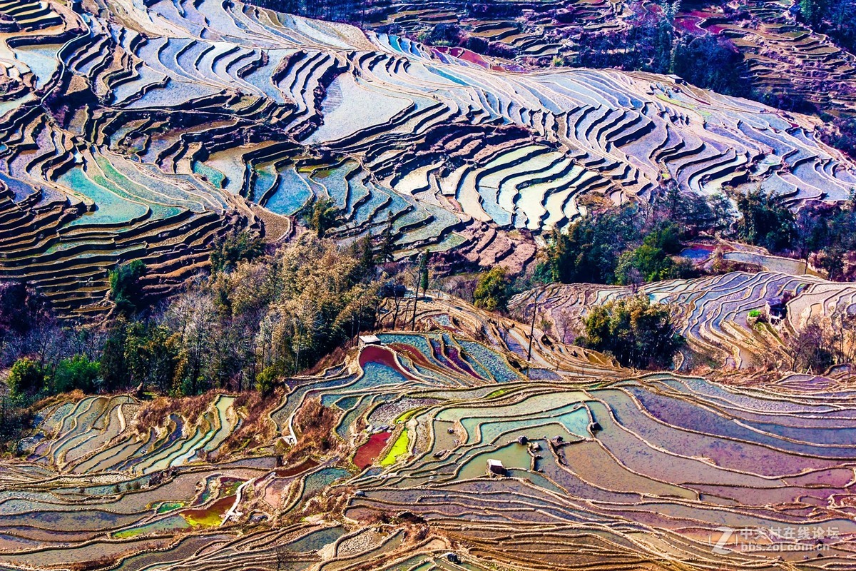 云南元阳及红河梯田