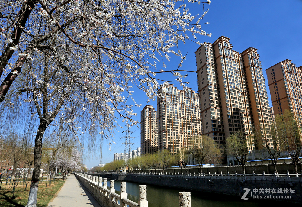 #佳能月赛-与佳能一起去踏青#5D3首秀！早春！