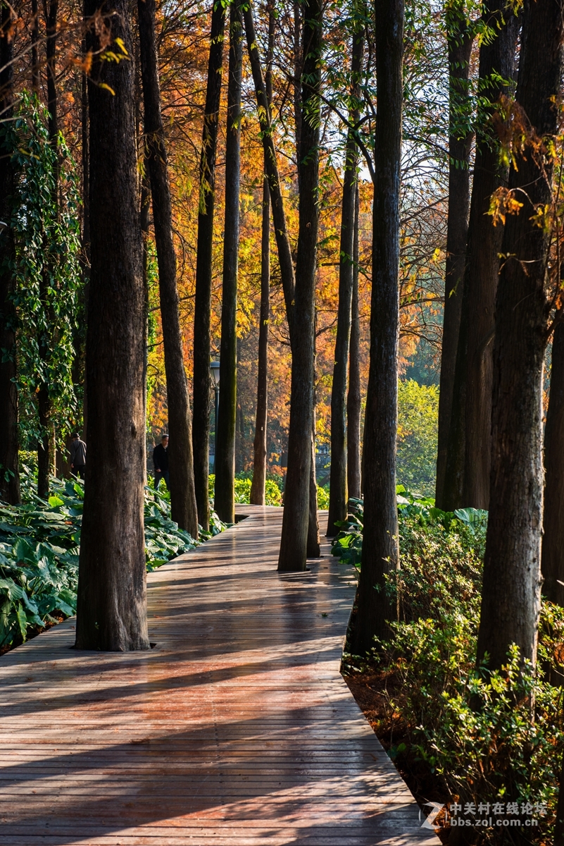 2017第一貼-------秋色？冬色？