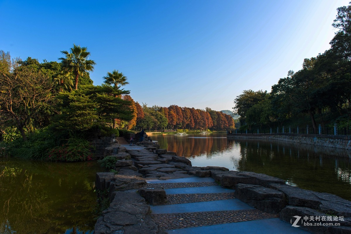 2017第一貼-------秋色？冬色？