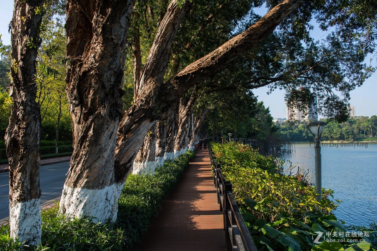 2017第一貼-------秋色？冬色？