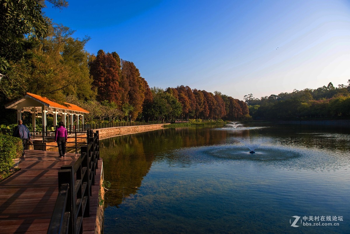 2017第一貼-------秋色？冬色？