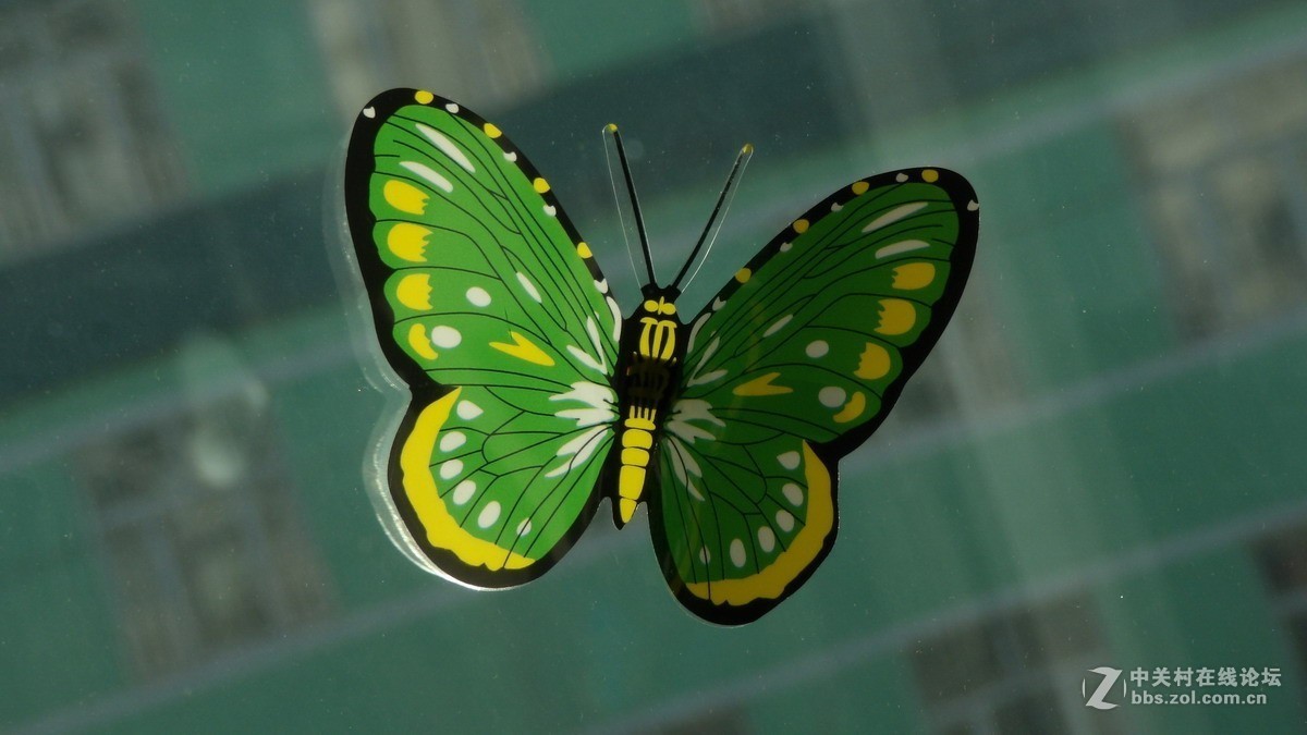 柯达90倍长焦机AZ901 新手试拍