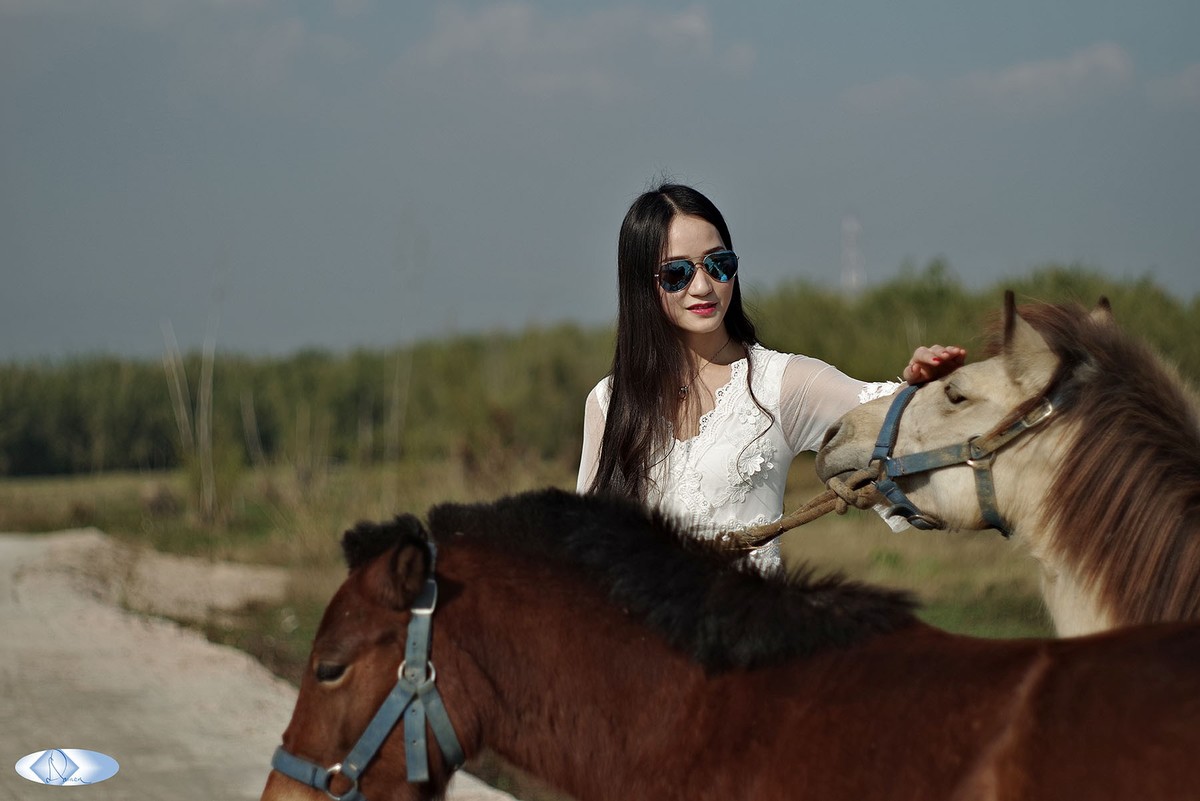 夏日风景中骑着马的女人. 与马友交朋友. 可爱的马主 库存照片. 图片 包括有 女性, 老板, 横向, 友谊 - 223110028