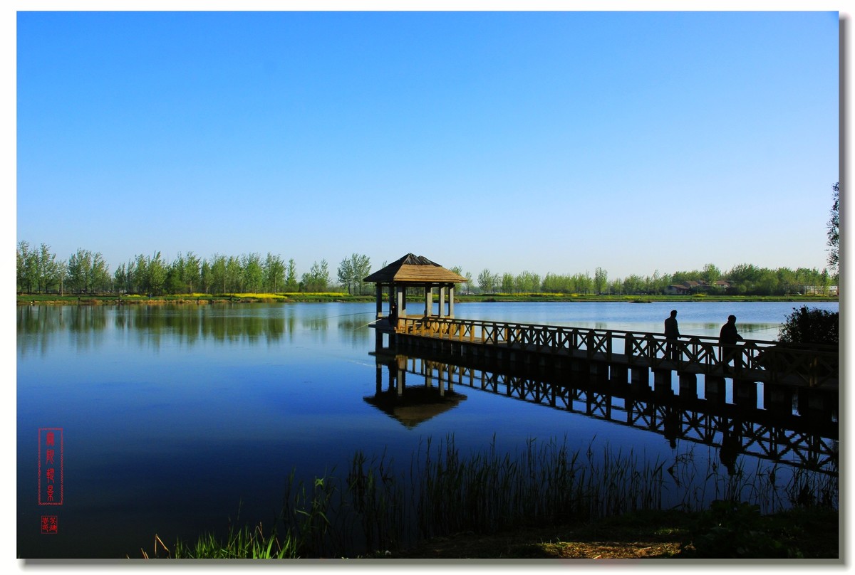 春天的沛公园风景1