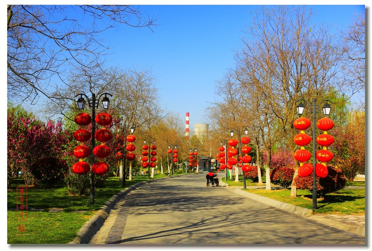 春天的沛公园风景1