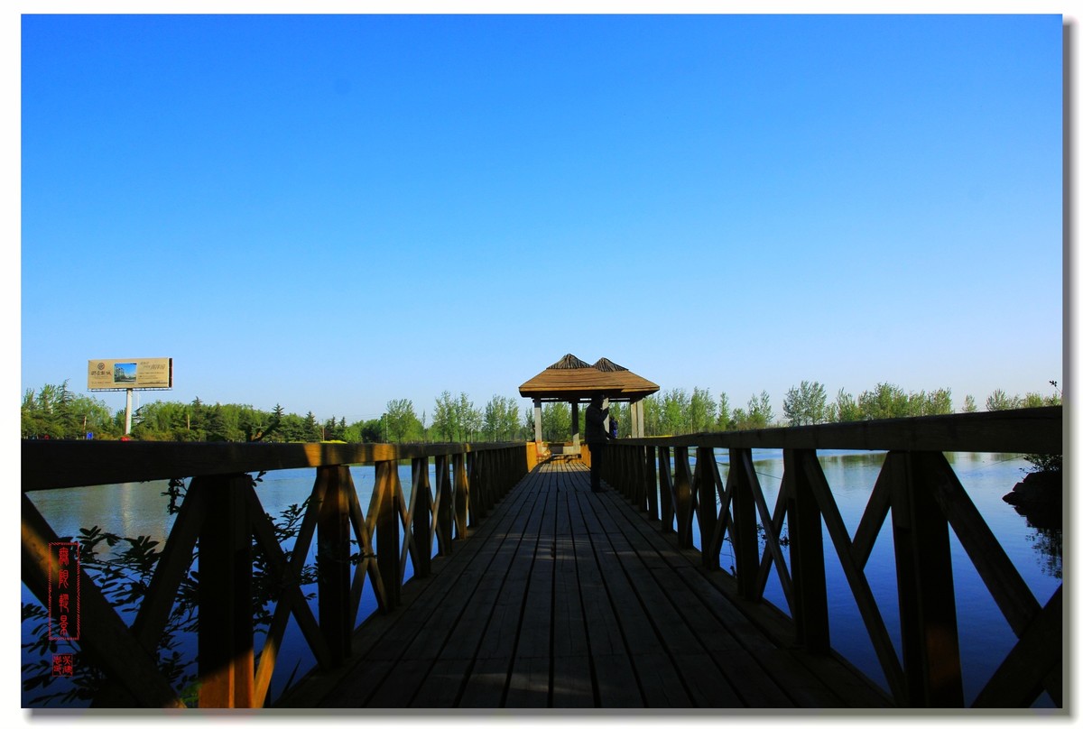 春天的沛公园风景1