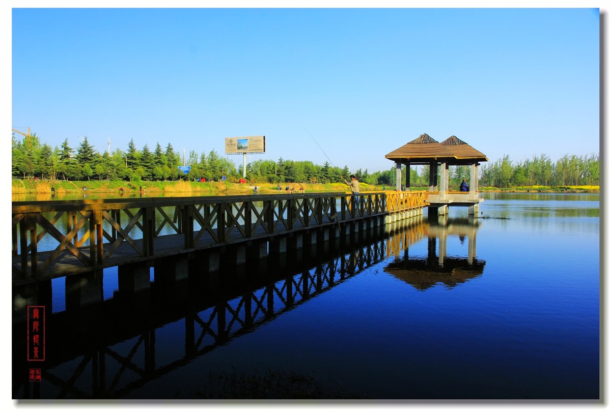 春天的沛公园风景1