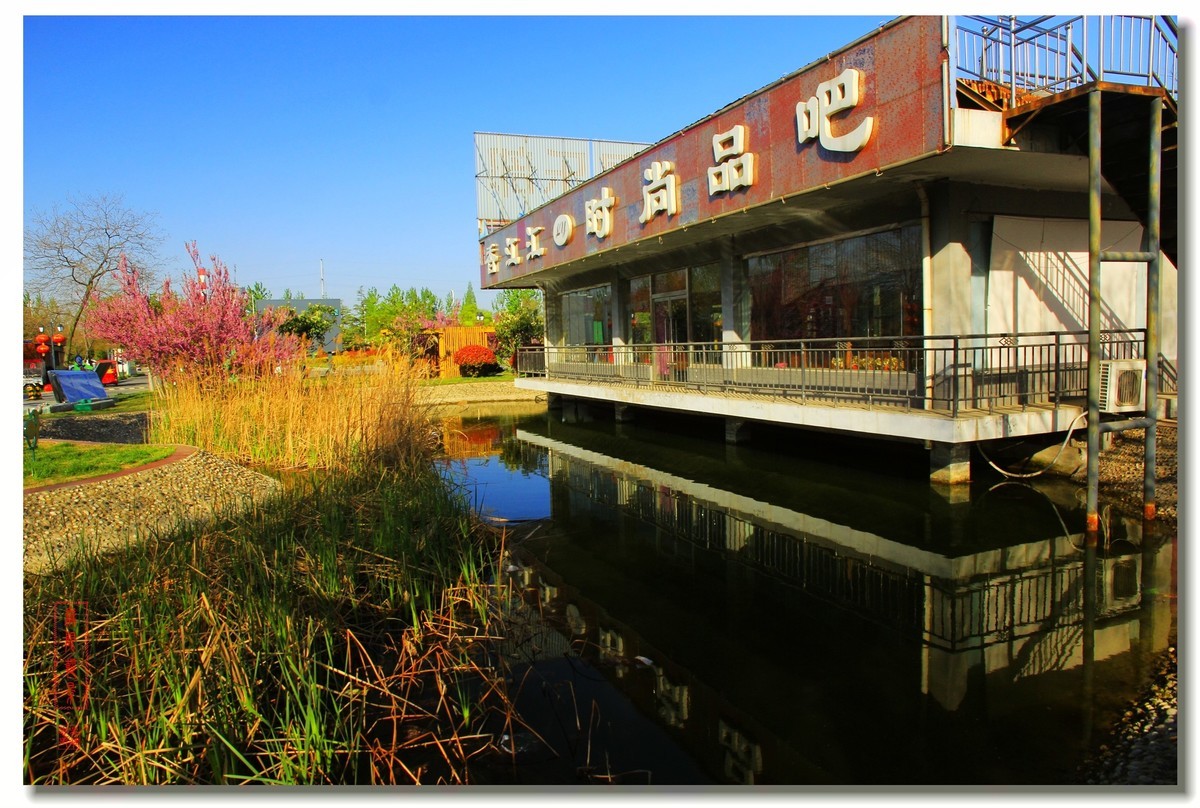 春天的沛公园风景1