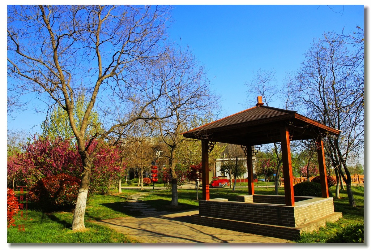 春天的沛公园风景1