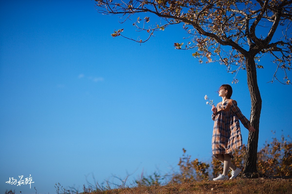 等一等，五彩满山——杨最醉