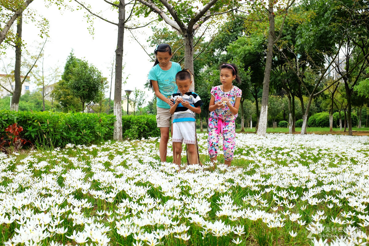 玩几片抓拍与盲拍的片片