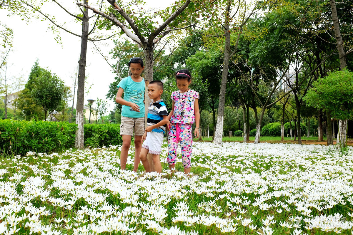 玩几片抓拍与盲拍的片片