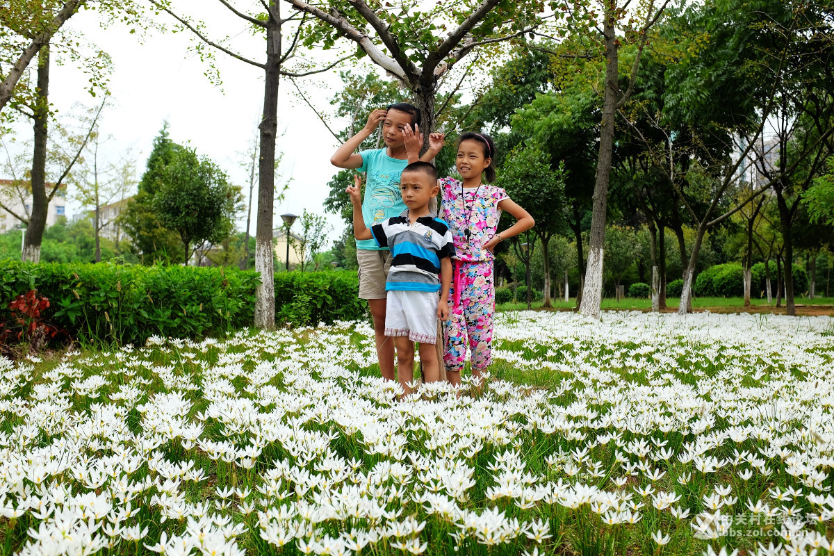 玩几片抓拍与盲拍的片片