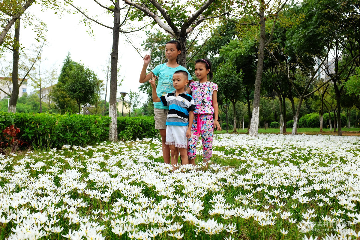 玩几片抓拍与盲拍的片片