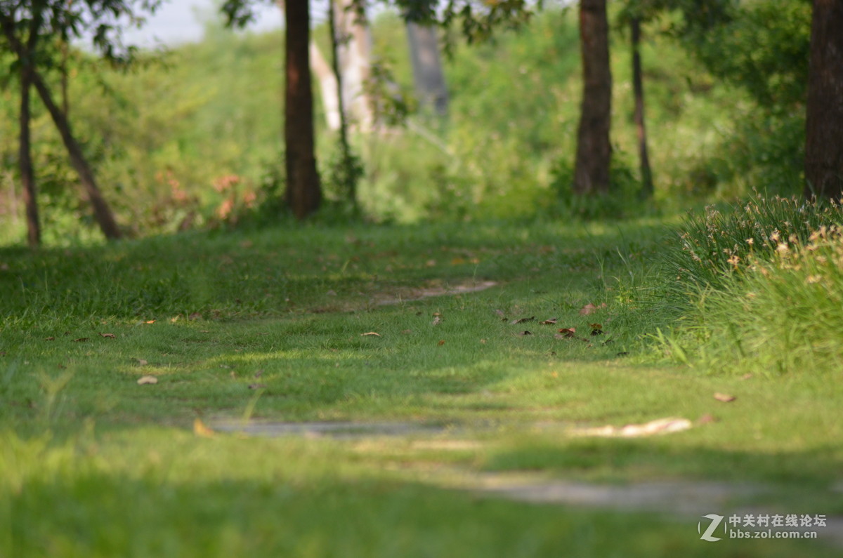 业余时间，菜鸟练习随拍！