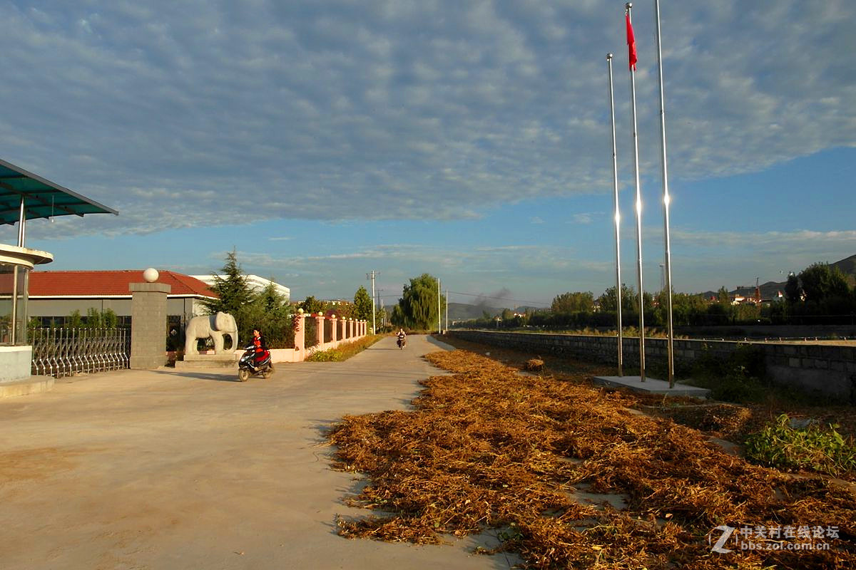 【晨光】贺清风光影I宏展锦图师友荣任123...12P