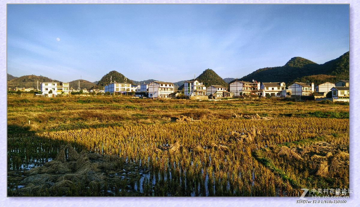 冬日冬景（手机版）