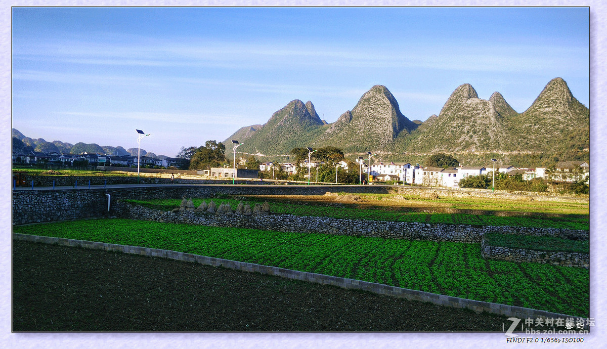 冬日冬景（手机版）