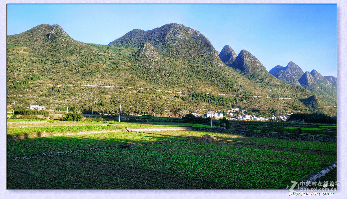 冬日冬景（手机版）