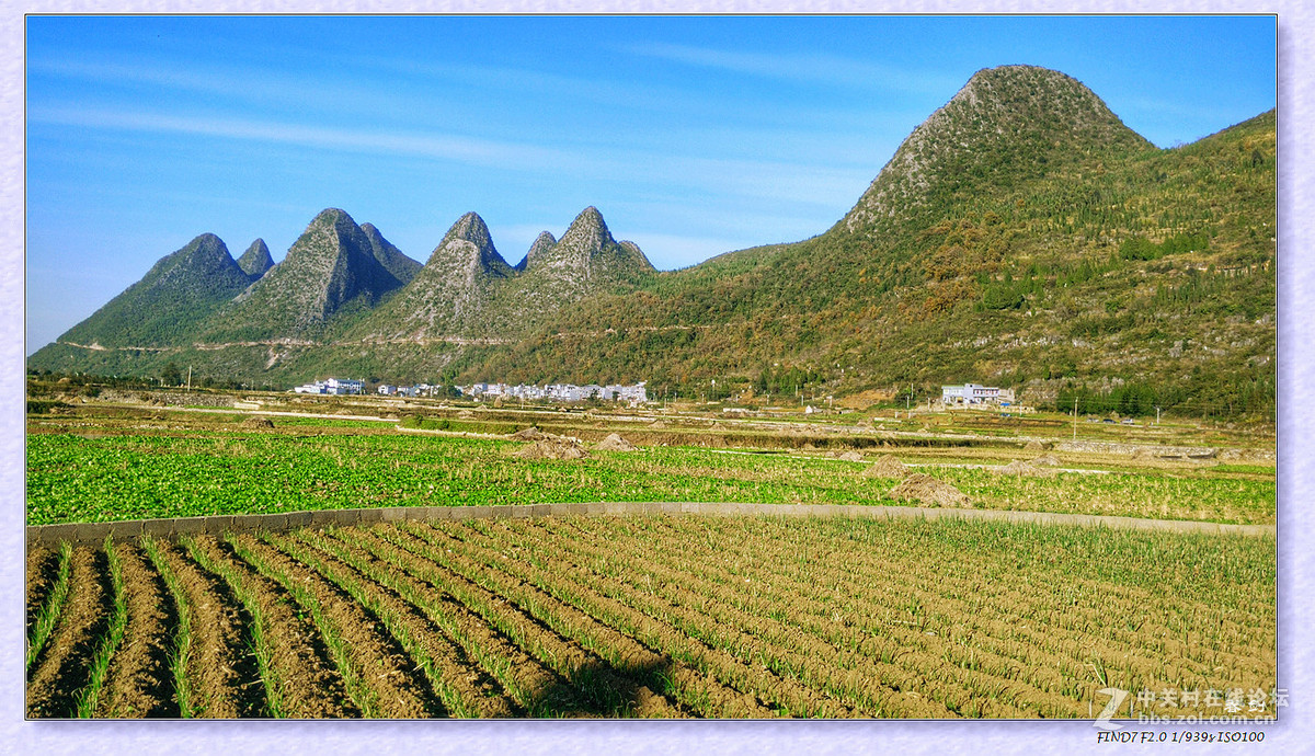 冬日冬景（手机版）