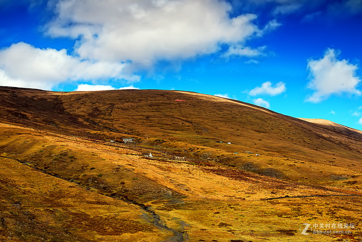 川西----康定塔公草原