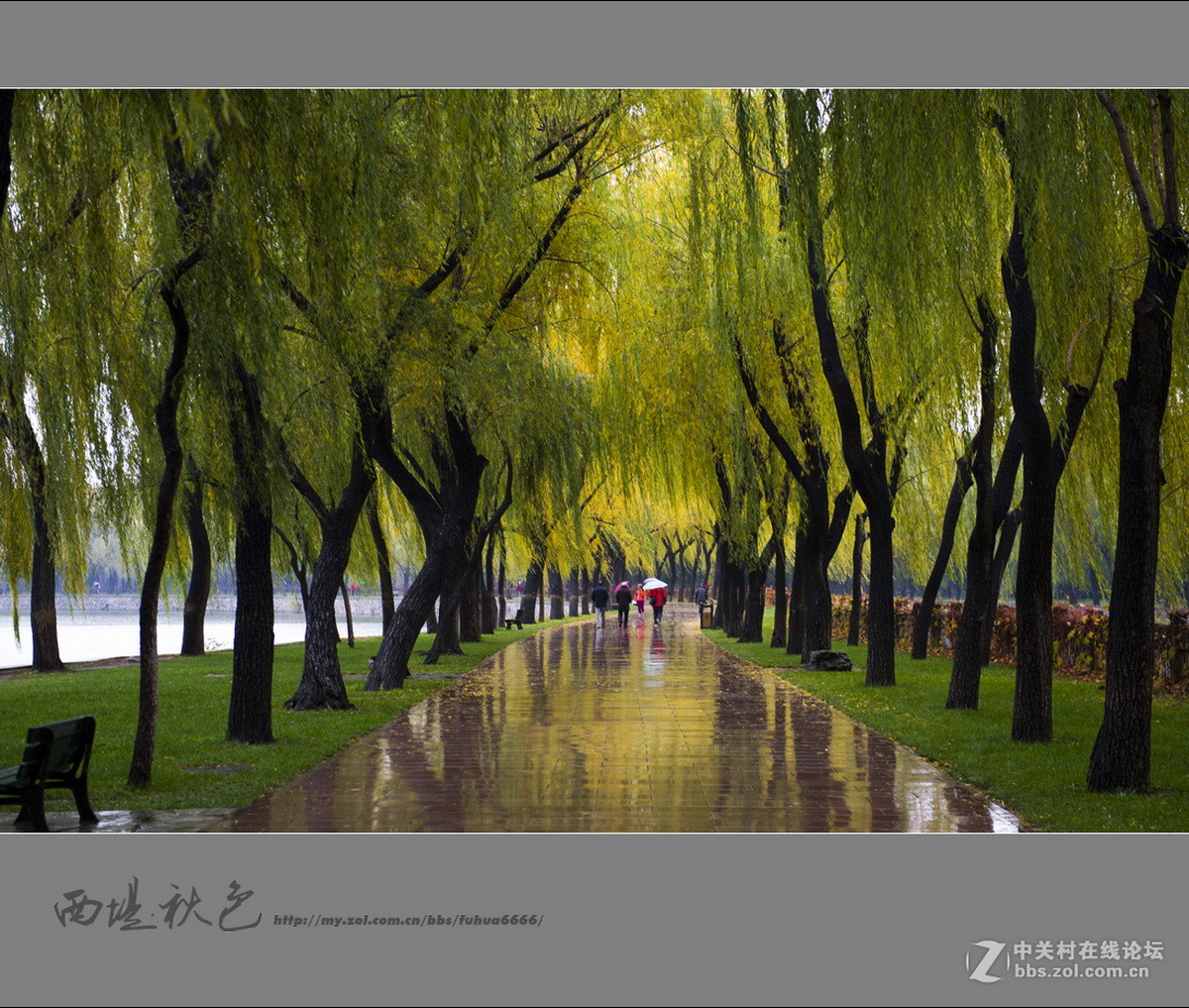 #版主坐堂#2015年11月份《承德》优秀作品选辑