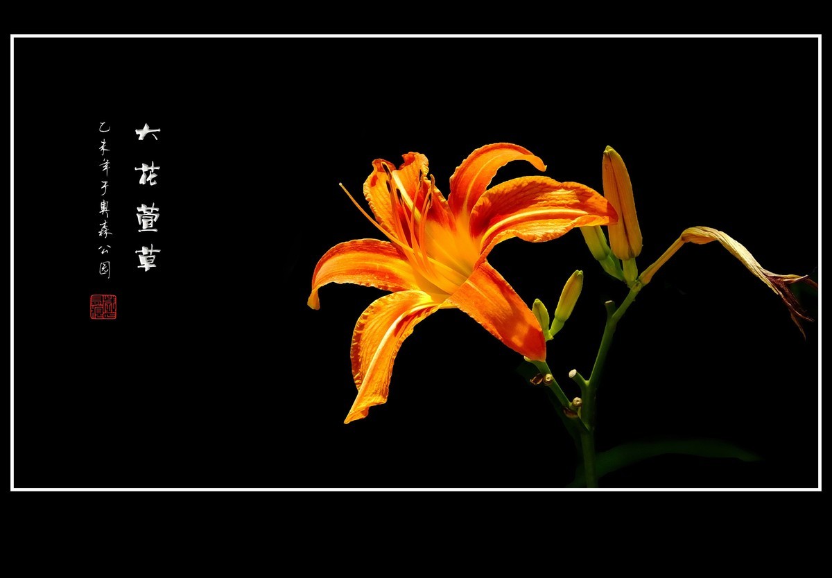 #版主坐堂#2015年11月份《承德》优秀作品选辑