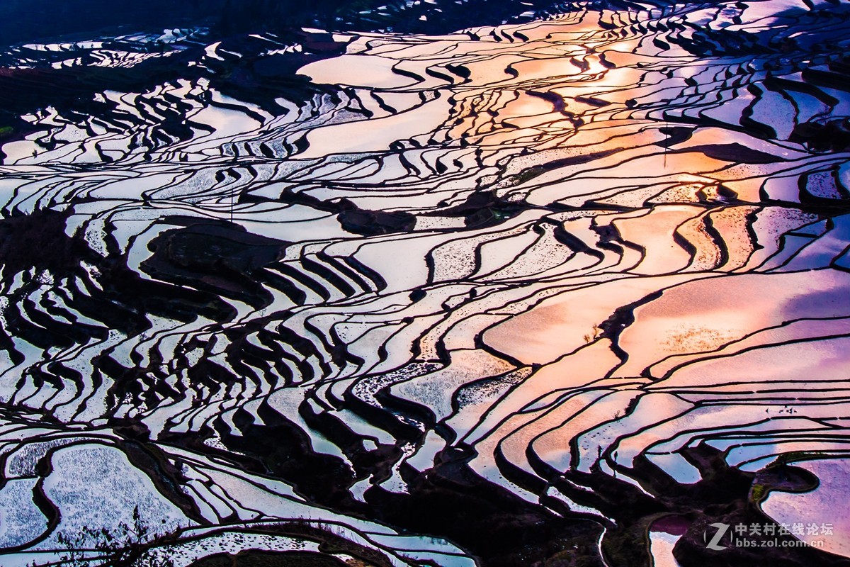 云南元阳及红河梯田