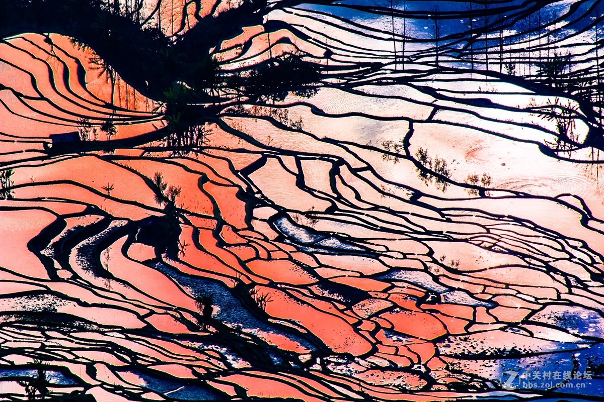 云南元阳及红河梯田