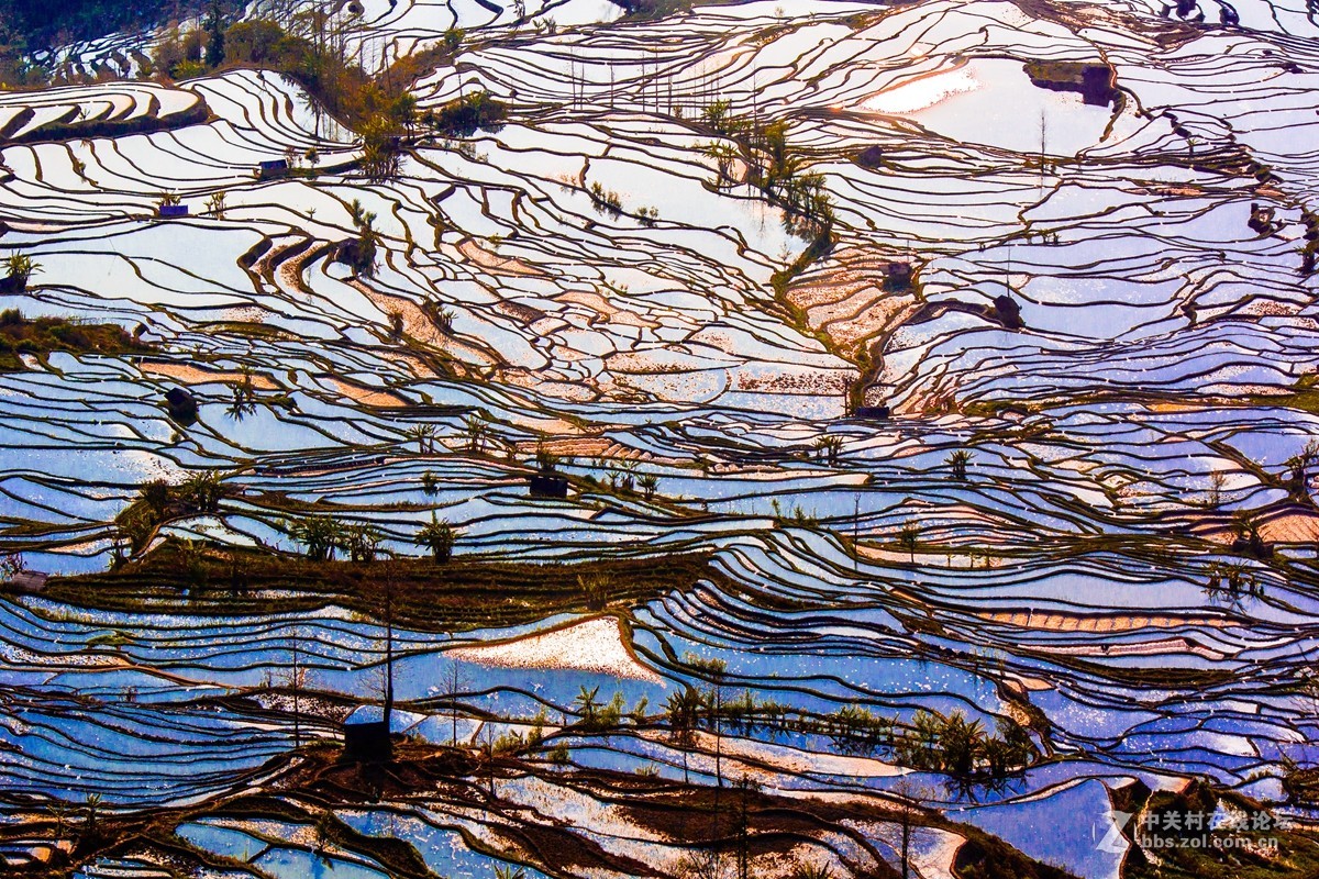 云南元阳及红河梯田