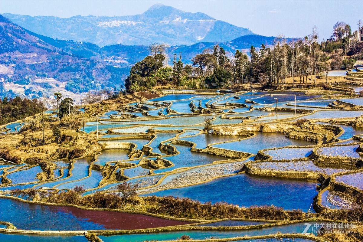 云南元阳及红河梯田