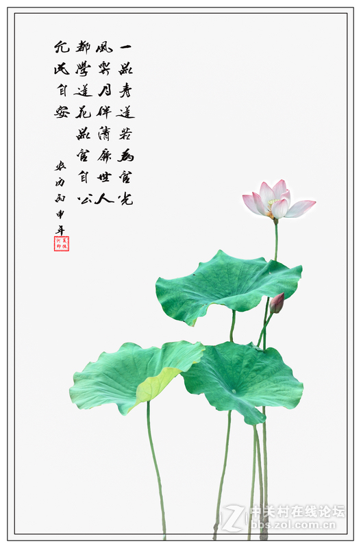 荷之韵