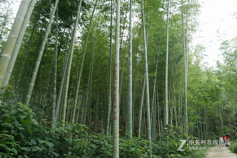 桂林雷公岩，红色之旅