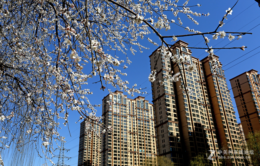 #佳能月赛-与佳能一起去踏青#5D3首秀！早春！