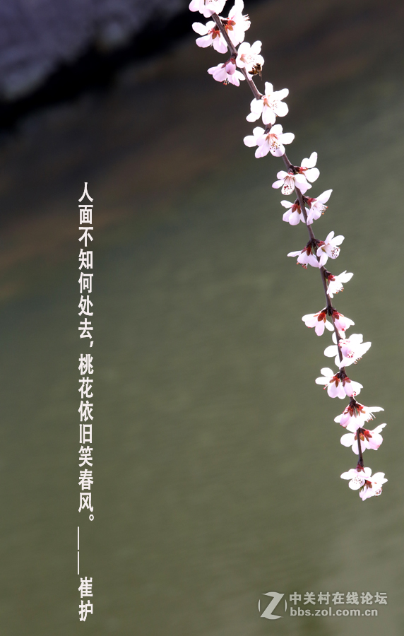 #佳能月赛-与佳能一起去踏青#5D3首秀！早春！