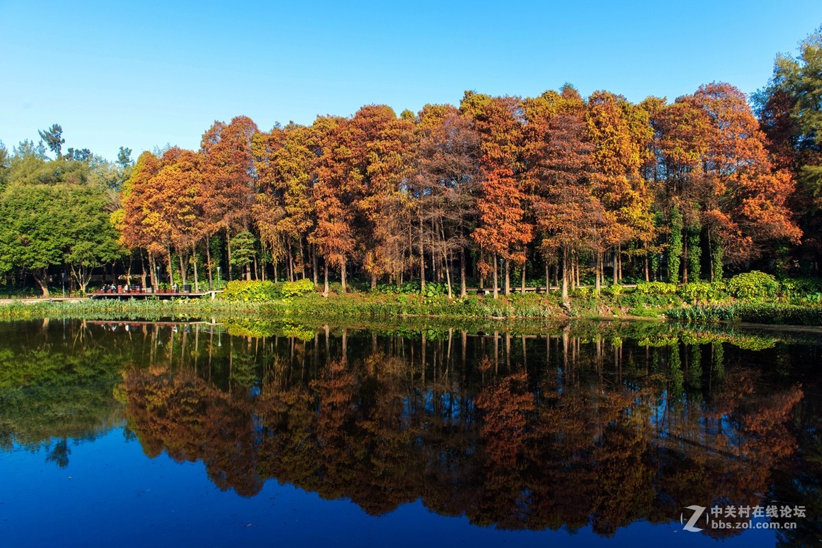 2017第一貼-------秋色？冬色？