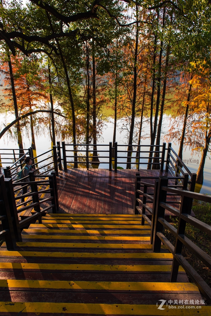 2017第一貼-------秋色？冬色？