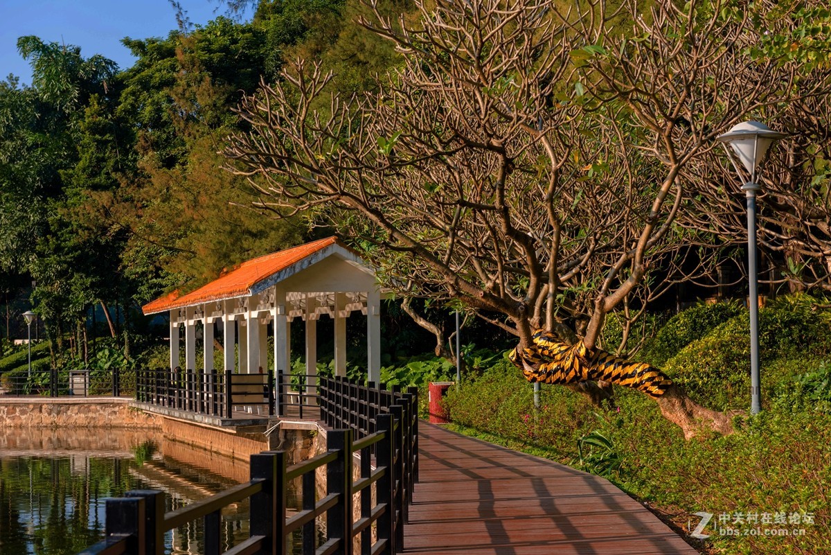 2017第一貼-------秋色？冬色？