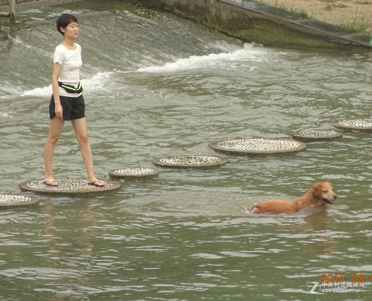 游园杂拍