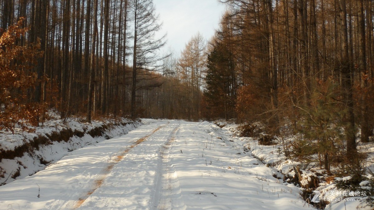 柯达90倍长焦机AZ901 新手试拍