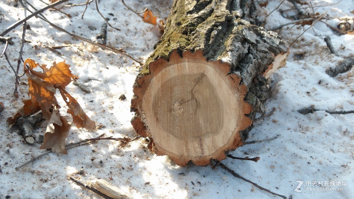 柯达90倍长焦机AZ901 新手试拍