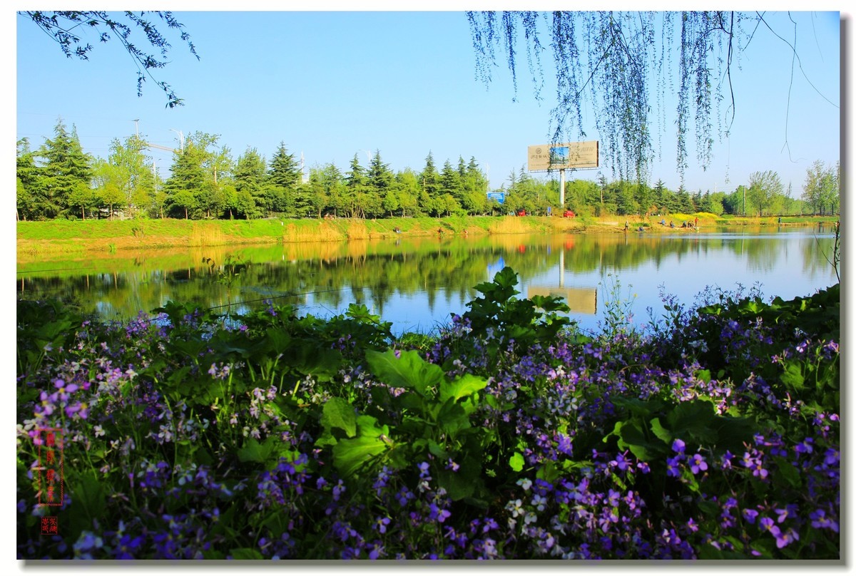 春天的沛公园风景1