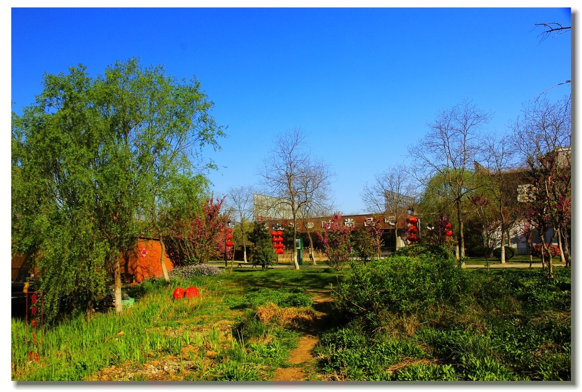 春天的沛公园风景1