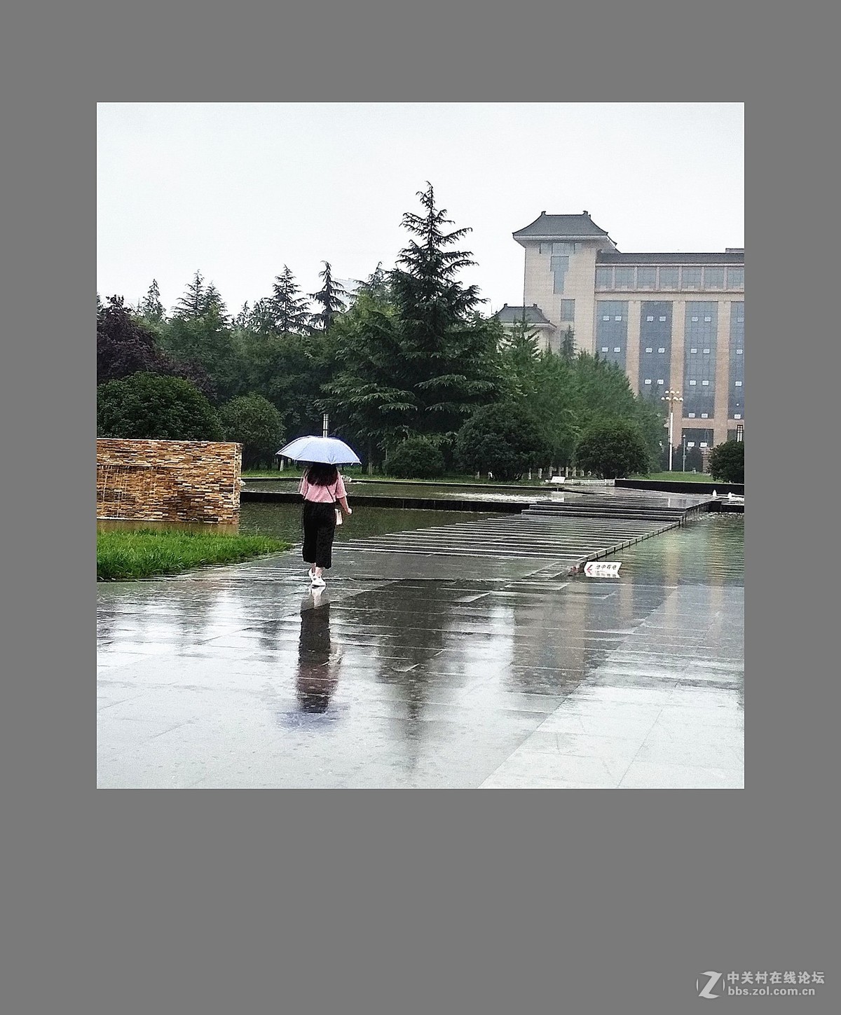 雨中花折伞