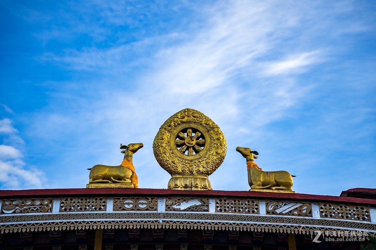 拉萨扎基寺侧记-中关村在线摄影论坛