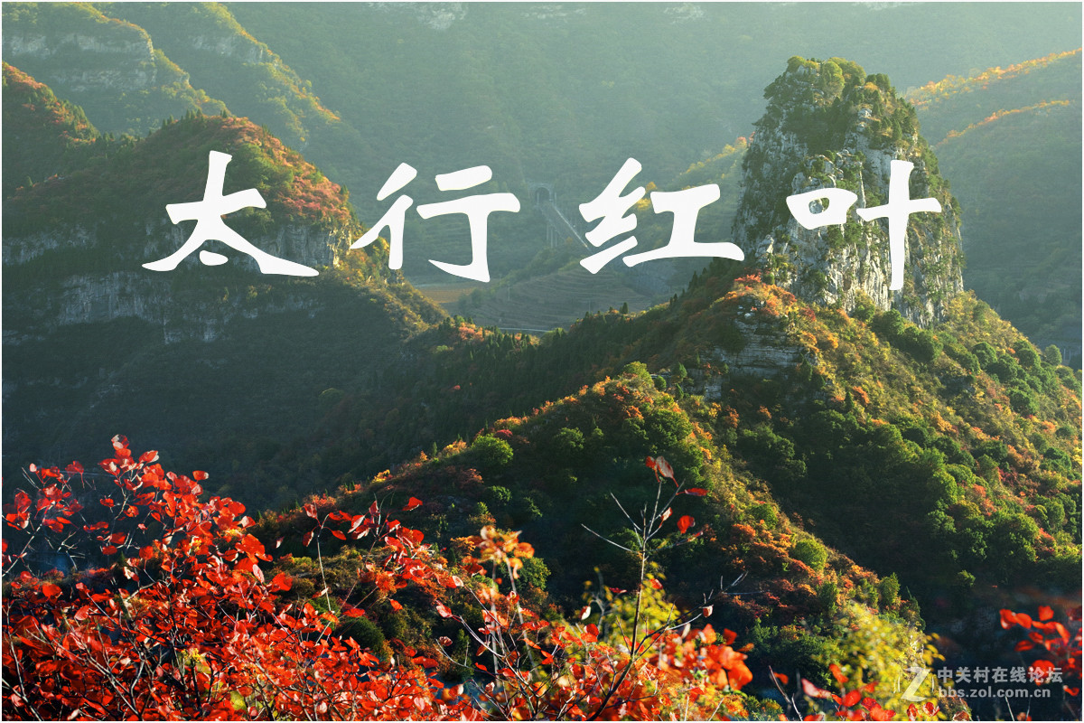 太行红叶