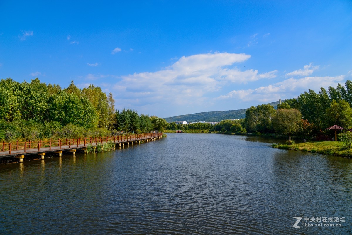 伊春木雕园风景