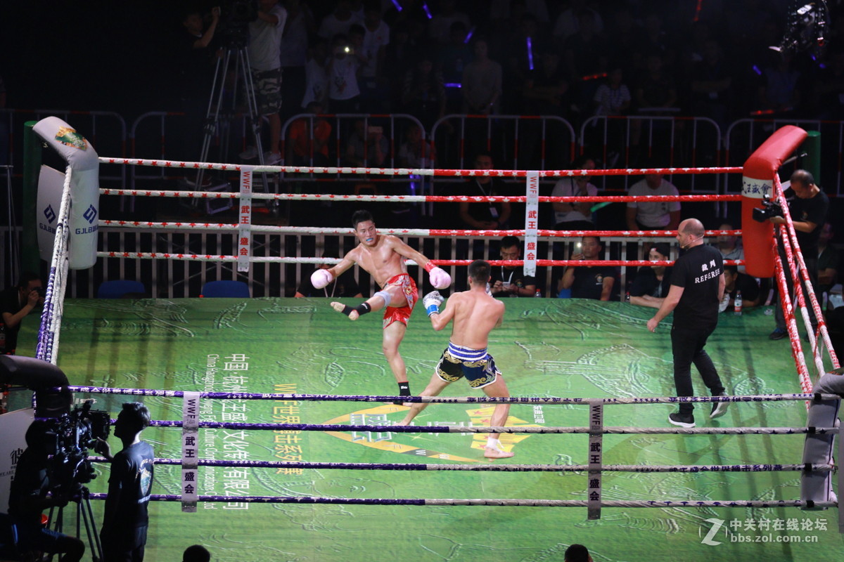 武王争霸～～～～～～﹗