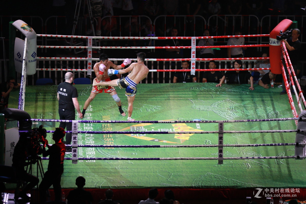 武王争霸～～～～～～﹗